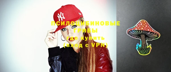 индика Михайлов