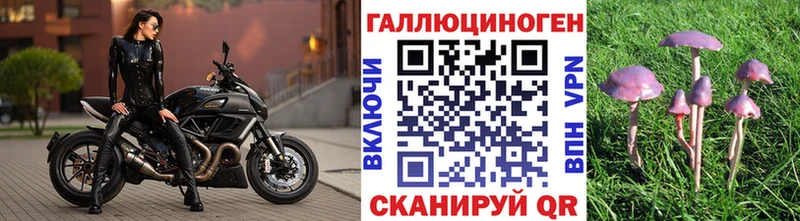 Псилоцибиновые грибы Psilocybine cubensis  Купить  Урень 